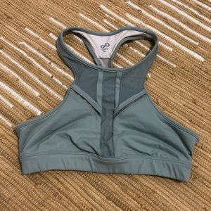 Alo yoga sports bra sage
